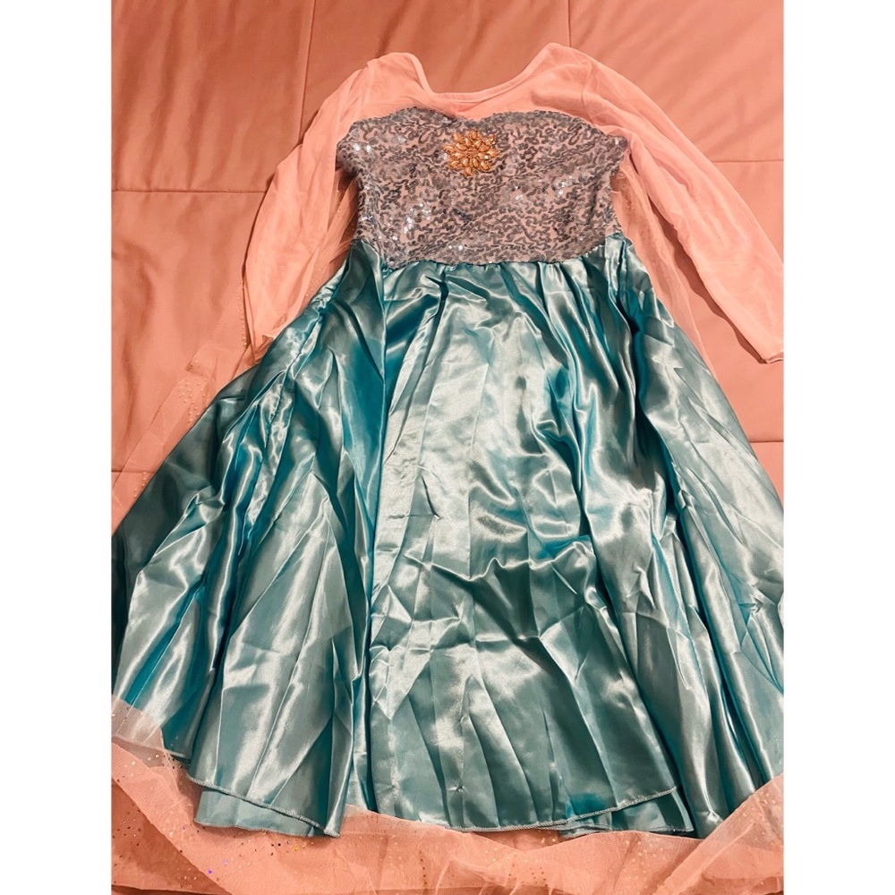 Elsa Costume